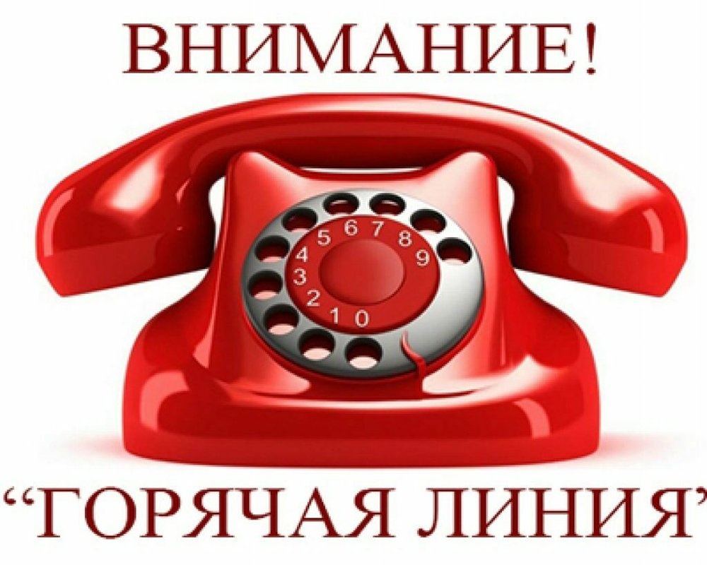 Поддержка участников СВО.